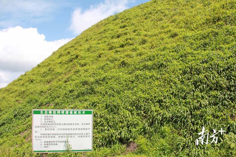 园林绿化工程中的三大误区