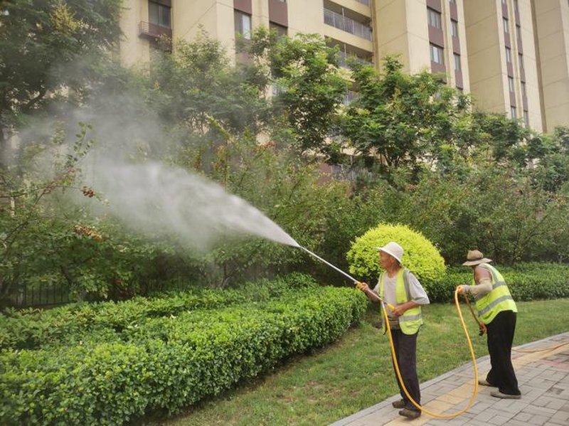 绿化养护知识普及：让城市更绿